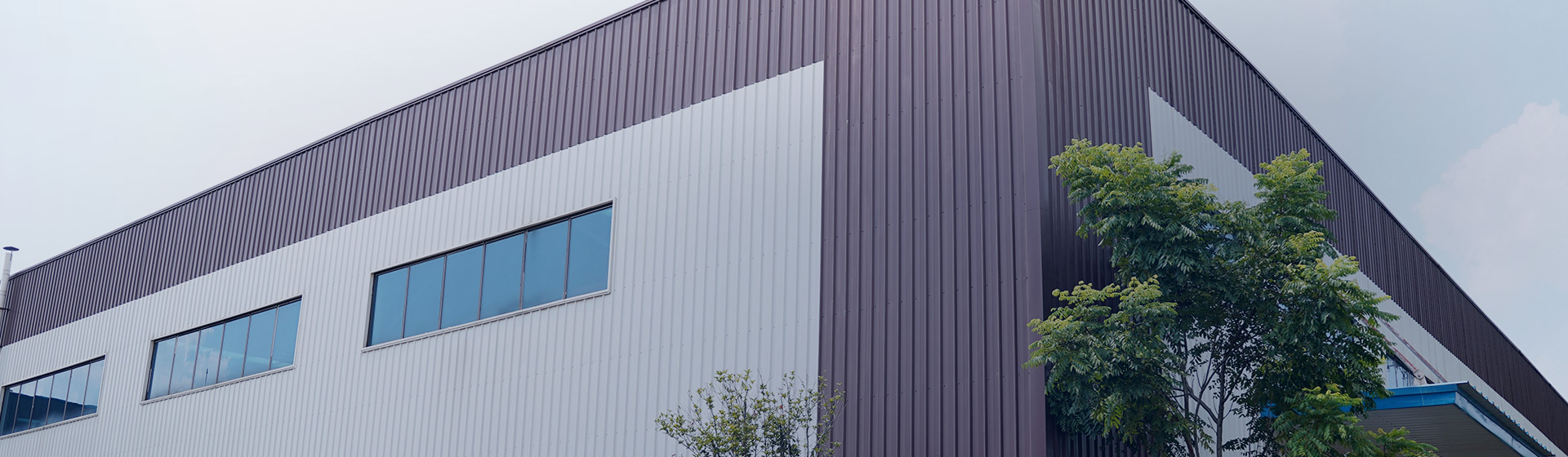 cd227ee9-c491-4d81-8036-9fdd8008339b